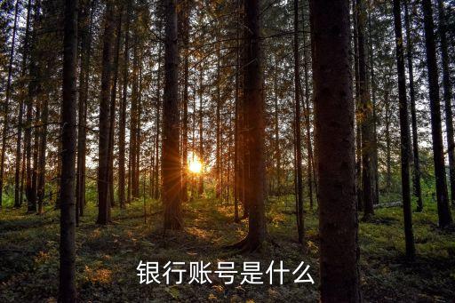 银行账号是什么