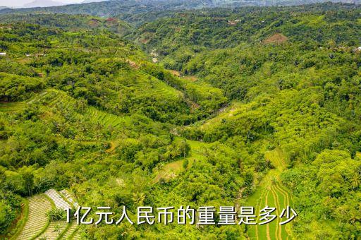 1亿元人民币的重量是多少