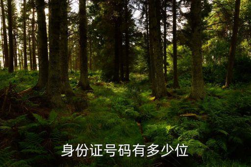 身份证号码有多少位