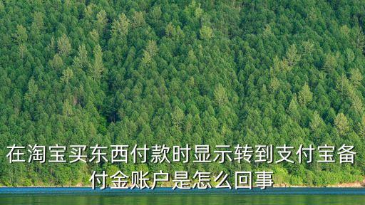 在淘宝买东西付款时显示转到支付宝备付金账户是怎么回事