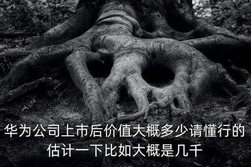 华为市值多少亿，华为公司上市后价值大概多少请懂行的估计一下比如大概是几千