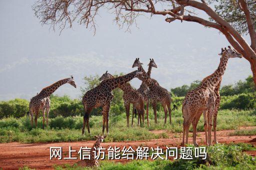 网上信访能给解决问题吗