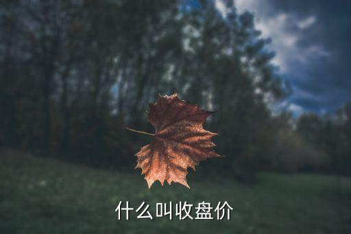 什么叫收盘价