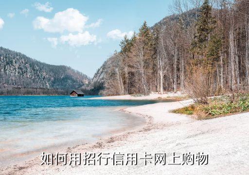 招行信用卡网上商城，如何用招行信用卡网上购物