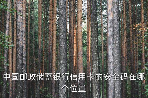 银行卡安全码在哪里看，建设银行卡的安全码在哪里啊