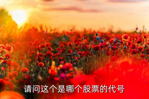 字节跳动股票代码，怎么买字节跳动的原始股
