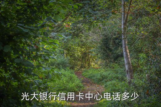 光大银行信用卡中心电话多少