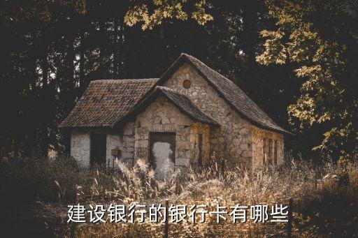 建设银行的银行卡有哪些
