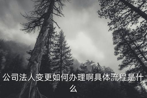 变更法人流程，法人变更流程