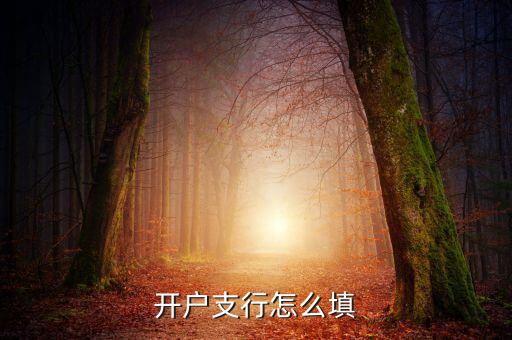 开户支行怎么填
