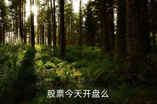 股票今天开盘么