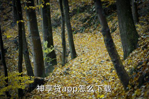 神享贷app怎么下载