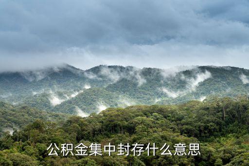 公积金显示封存是什么意思，公积金集中封存什么意思