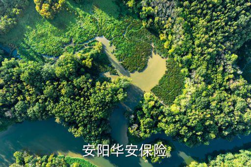 安阳华安保险