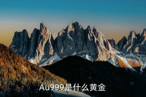 黄金au999，Au999是什么黄金