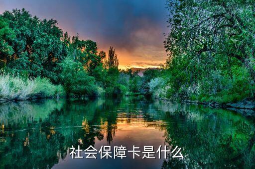 社会保障卡是什么，什么是社会保障卡