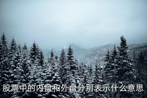 股票中的内盘和外盘分别表示什么意思