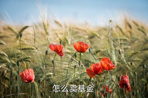 怎么卖基金