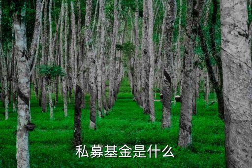 私募基金是什么