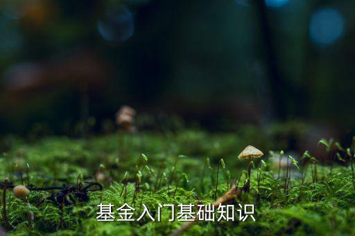 基金入门基础知识