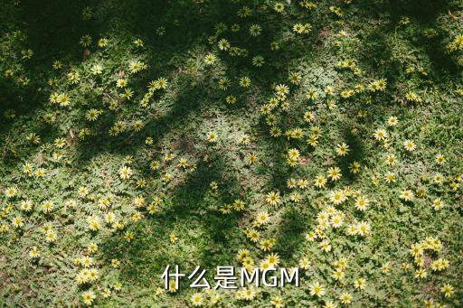 什么是MGM