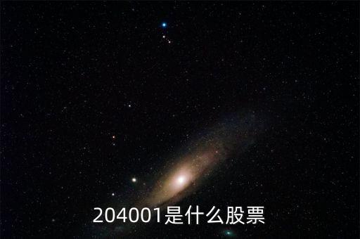 204001是什么股票