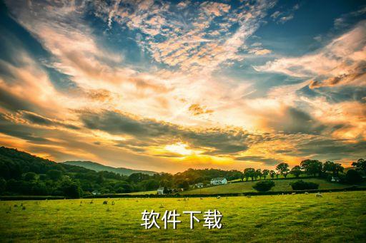 软件下载