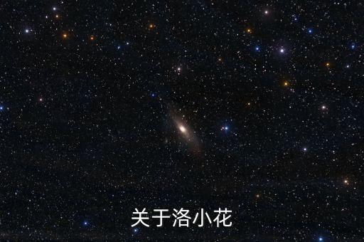 关于洛小花
