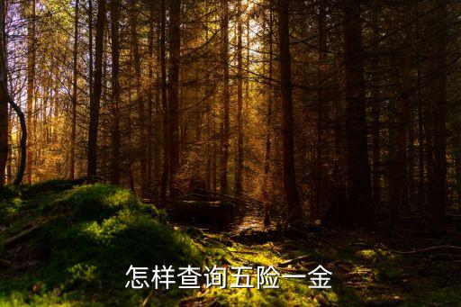 五险怎么查询，怎样查询五险一金