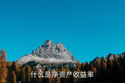 什么是净资产收益率