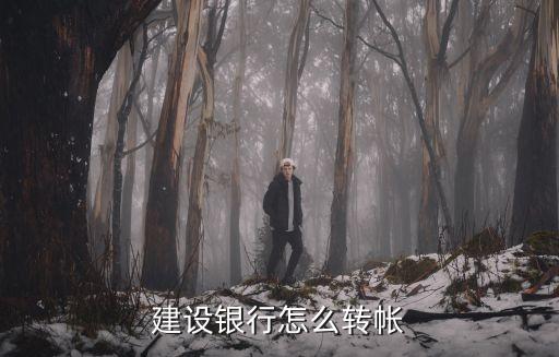 建设银行怎么转帐