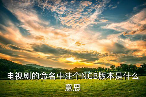电视剧的命名中注个NGB版本是什么意思