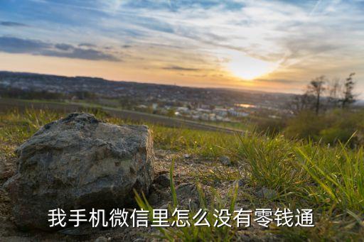我手机微信里怎么没有零钱通