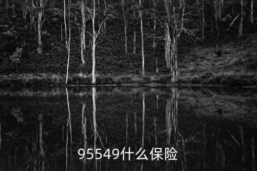 95549什么保险