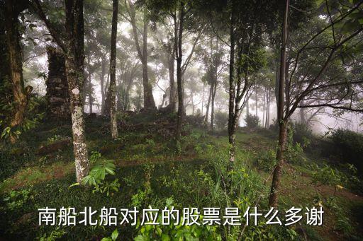 南北船，南北船会合并吗