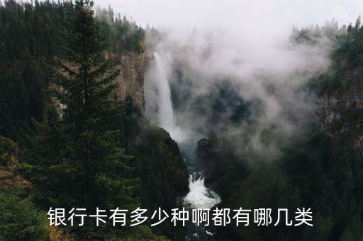 银行卡分几种类型，银行卡分为哪几类