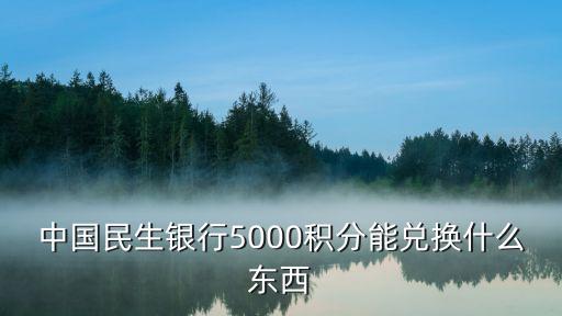 中国民生银行5000积分能兑换什么东西