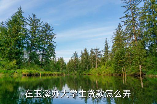 大学生贷款，关于大学生贷款