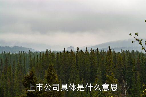 什么叫上市公司，什么是上市公司
