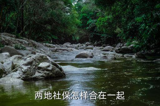 两地社保怎样合在一起