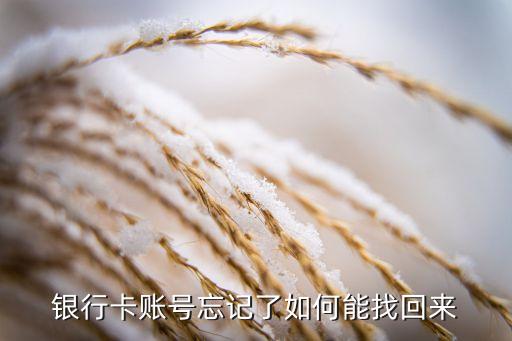 银行卡账号忘记了如何能找回来