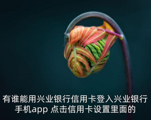 有谁能用兴业银行信用卡登入兴业银行手机app 点击信用卡设置里面的