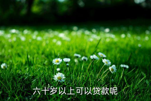 六十岁以上可以贷款呢