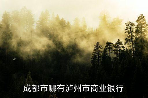 成都市哪有泸州市商业银行