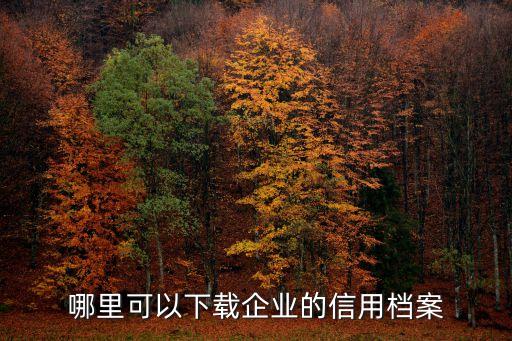 哪里可以下载企业的信用档案