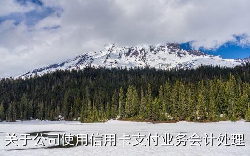 关于公司使用信用卡支付业务会计处理