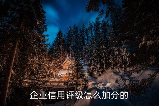 企业信用等级cc什么意思，什么是企业信用评价等级