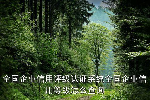 如何查企业信用综合评分，怎样查询一个企业的信用