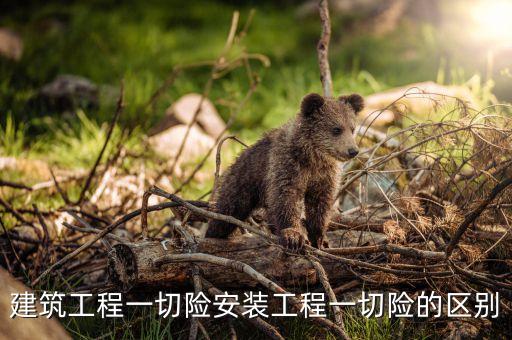 建筑工程一切险安装工程一切险的区别