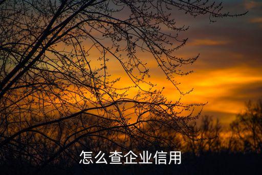 怎么查企业信用